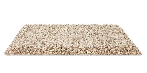 Admirable Plush Carpet