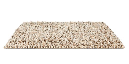 Admirable Plush Carpet