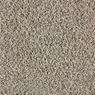 Admirable Plush Carpet