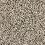 Admirable Exquisite Carpet