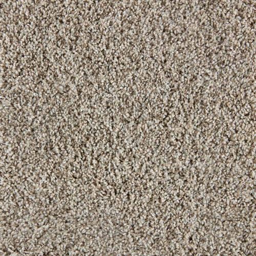 Admirable Plush Carpet