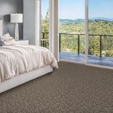 Admirable Ace Carpet