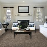 Incomparable Great Sandy Carpet