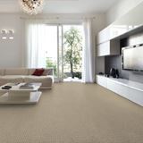 Envision Canvas Carpet
