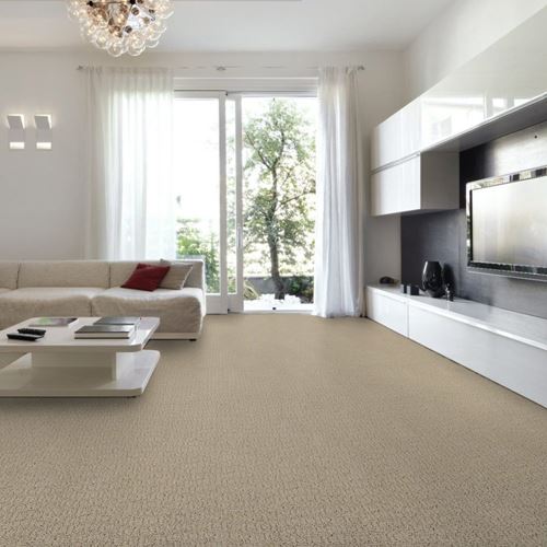 Envision Pattern Carpet