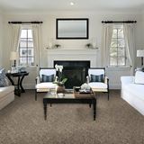 Incomparable Sonora Carpet