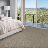 Admirable Exquisite Carpet