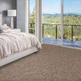 Admirable Refined Carpet