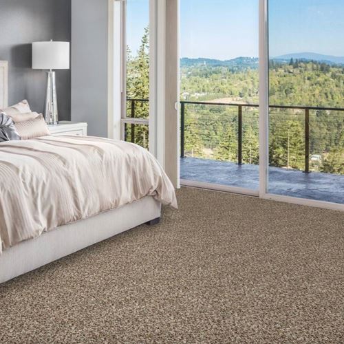 Admirable Plush Carpet
