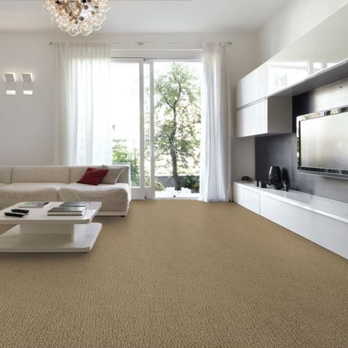 Envision Pattern Carpet