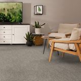 Impress Astonish Carpet