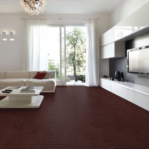 Envision Pattern Carpet