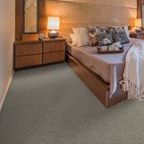 Allure Attraction Carpet