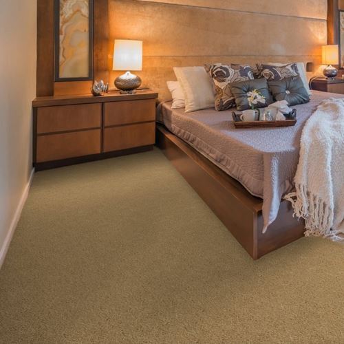 Allure Plush Carpet