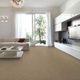 Envision Frost Carpet