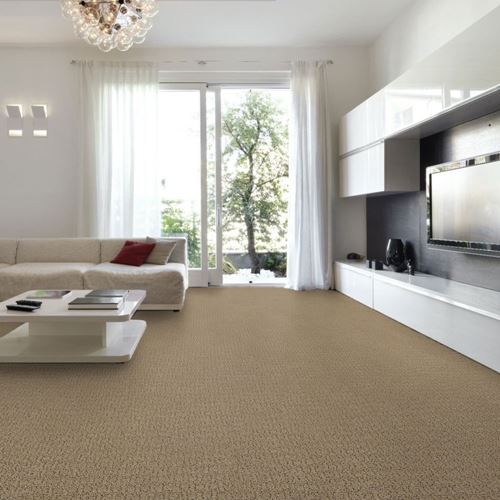 Envision Pattern Carpet