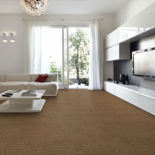 Envision Pattern Carpet