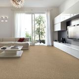 Envision Dunes Carpet