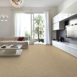 Envision Linen Carpet