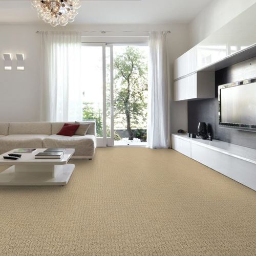 Envision Pattern Carpet
