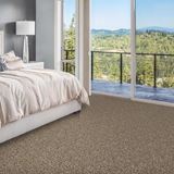 Admirable Classy Carpet