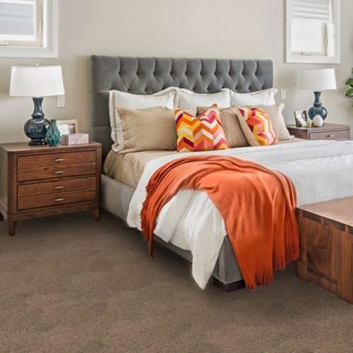 One And Only Plush Carpet