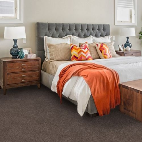 One And Only Plush Carpet