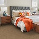 One And Only Above All Carpet