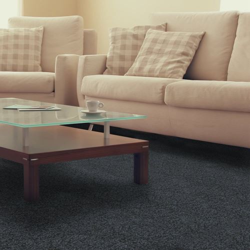 Pendleton Plush Carpet