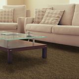 Pendleton Dark Cocoa Carpet