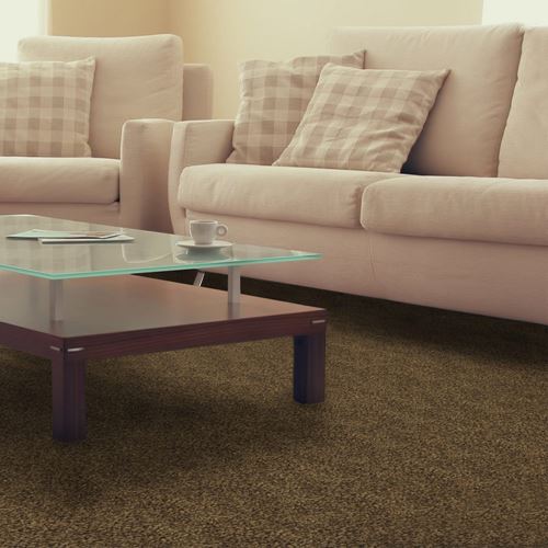 Pendleton Plush Carpet