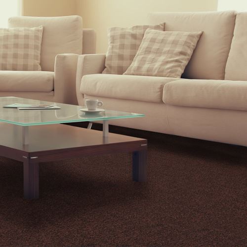 Pendleton Plush Carpet