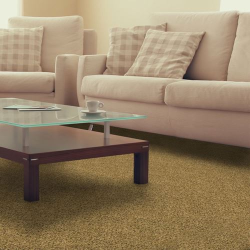 Pendleton Plush Carpet