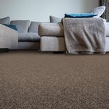 Sidekick Early Dawn Carpet