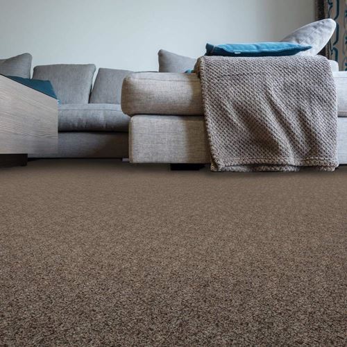 Sidekick Frieze Carpet