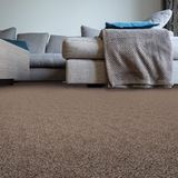 Sidekick Birch Desert Carpet
