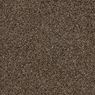 Elliston Plush Carpet