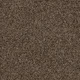Elliston Exhibit Carpet