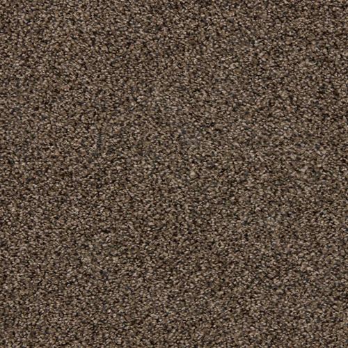 Elliston Plush Carpet
