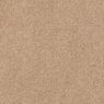 Grand Reserve Plush Carpet