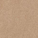 Grand Reserve Regal Carpet
