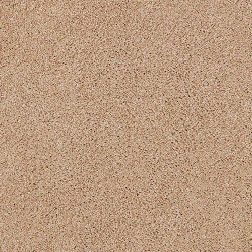 Grand Reserve Plush Carpet