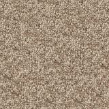 Ironbound Etched Carpet