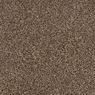 Elliston Plush Carpet