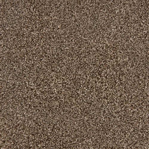 Elliston Plush Carpet