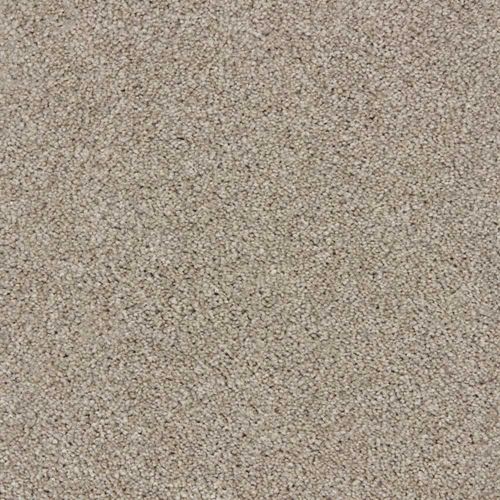 Grand Reserve Plush Carpet