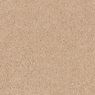Elliston Plush Carpet