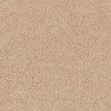 Elliston Dash Carpet