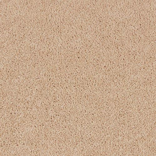 Elliston Plush Carpet