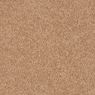 Elliston Plush Carpet